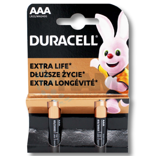 Duracell Batteries - MN1300B2 'D' Plus Power 10x